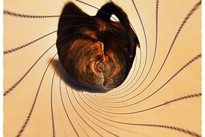 Artwork entitled "This Leaf" by Leslie Brown