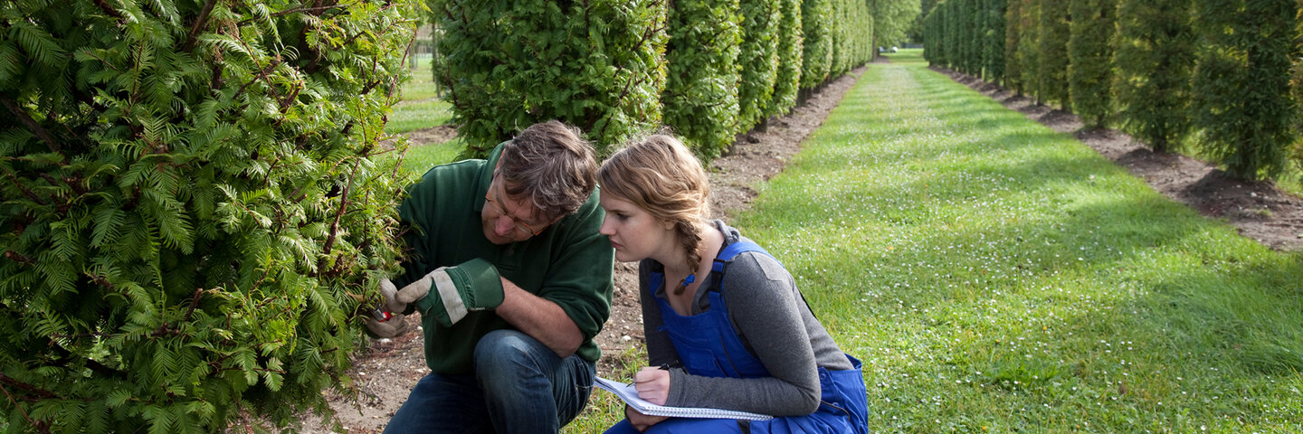 general-botany-for-gardeners-biolgyx496-2