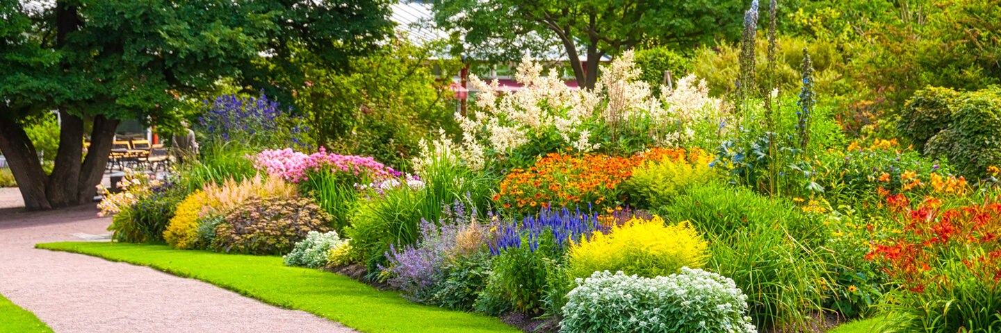 plants-for-the-landscape-ce0653