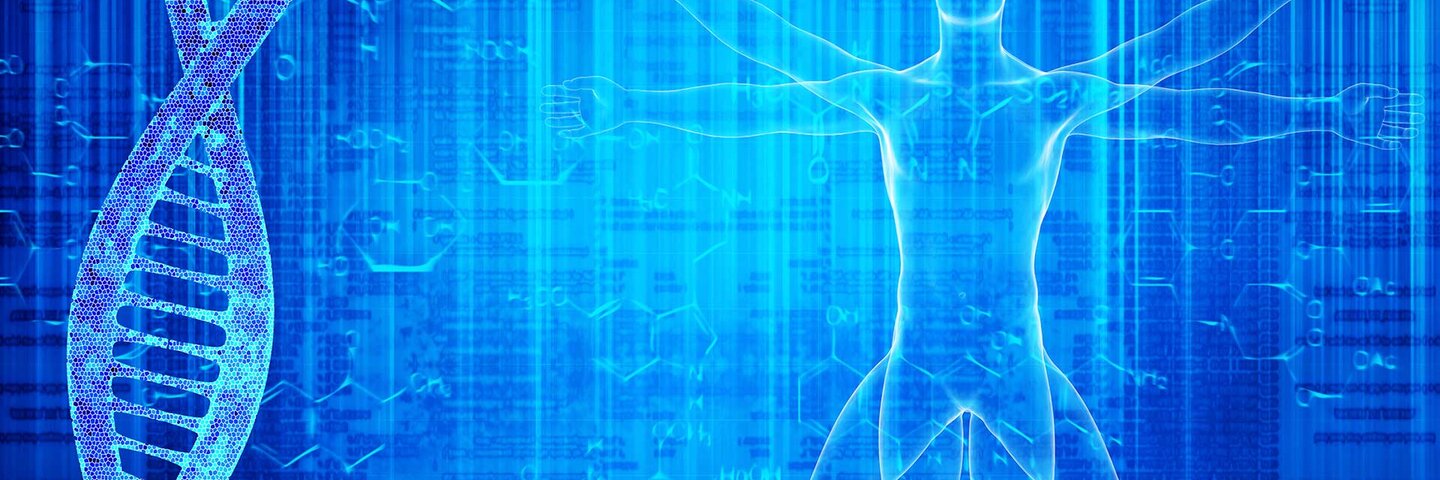 DNA molecules and virtuvian man