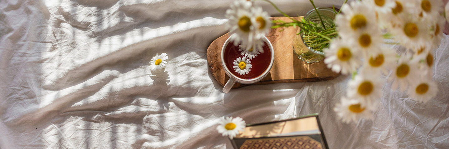 daisies falling over a handheld book