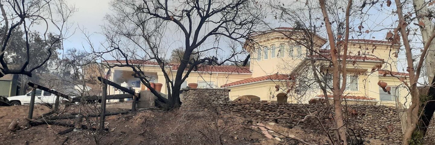 Burnt trees and landscaping in the foreground with a house in the background untouched by the fire